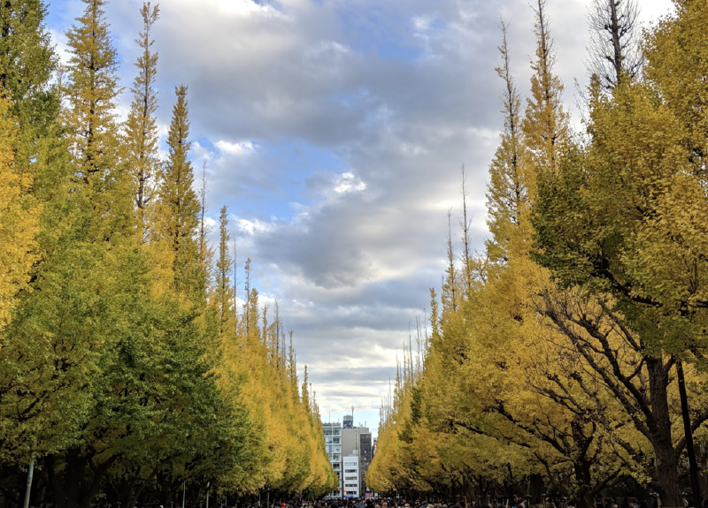 f🆔shaunkawano:20181203010630p:plain