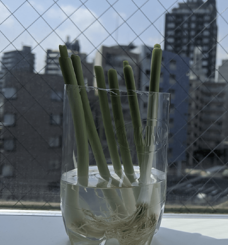 f🆔shaunkawano:20200510184956p:plain