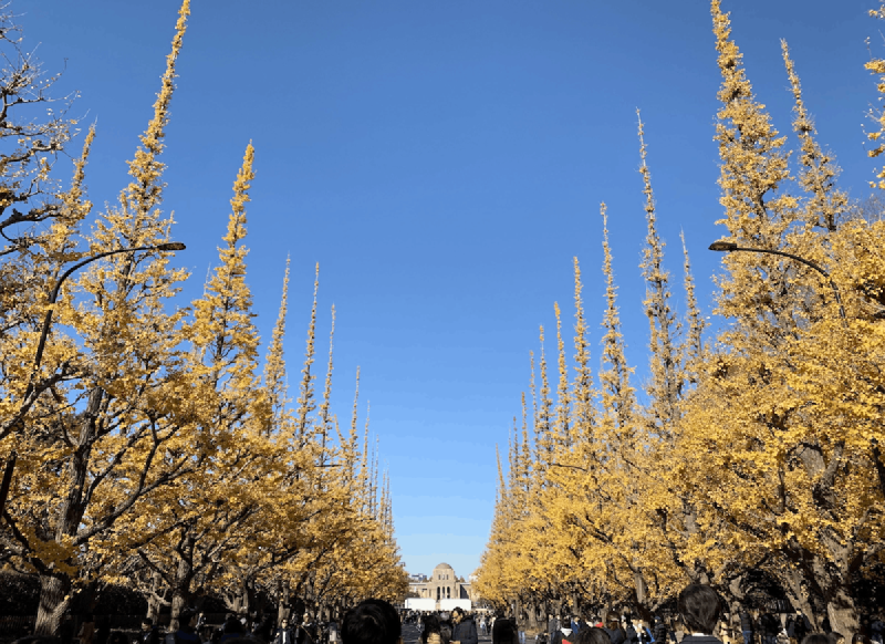 f🆔shaunkawano:20191231171945p:plain