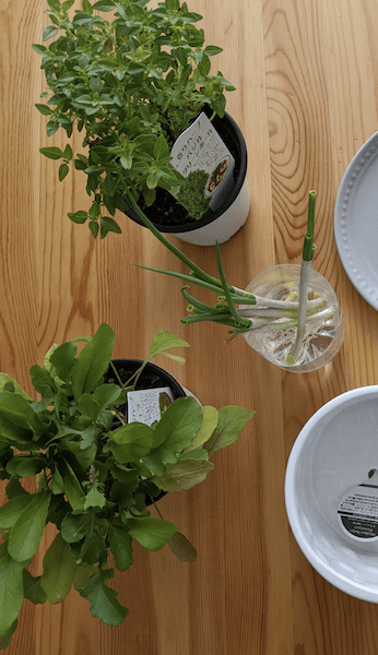 f🆔shaunkawano:20200515002630p:plain