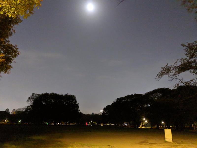 f🆔shaunkawano:20190503185257j:plain