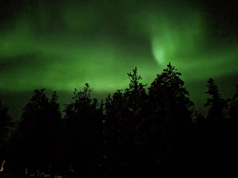 f🆔shaunkawano:20191231152825p:plain